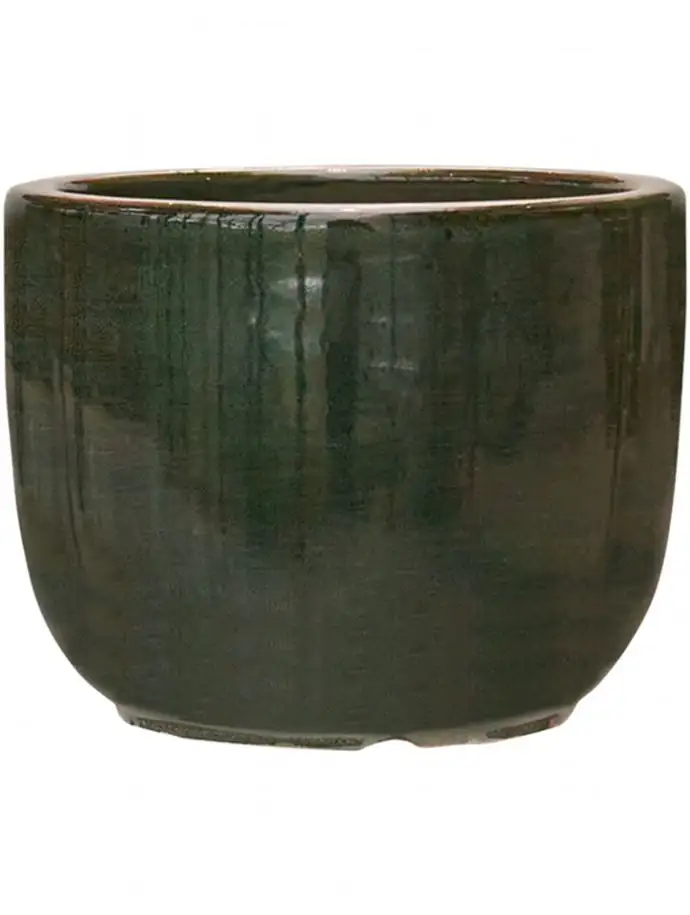 Plain Striped 21 H16 - Couple olive