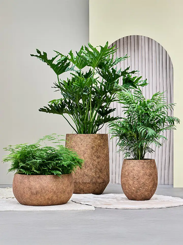 Mineral Hailey D38 H43 - Travertin rustic antique - Image 2