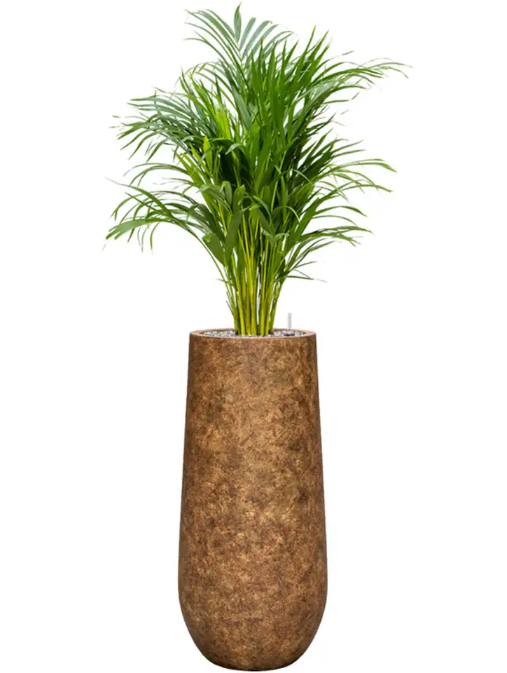 Mineral Nax D32 H69 - Travertin rustic antique - Image 2