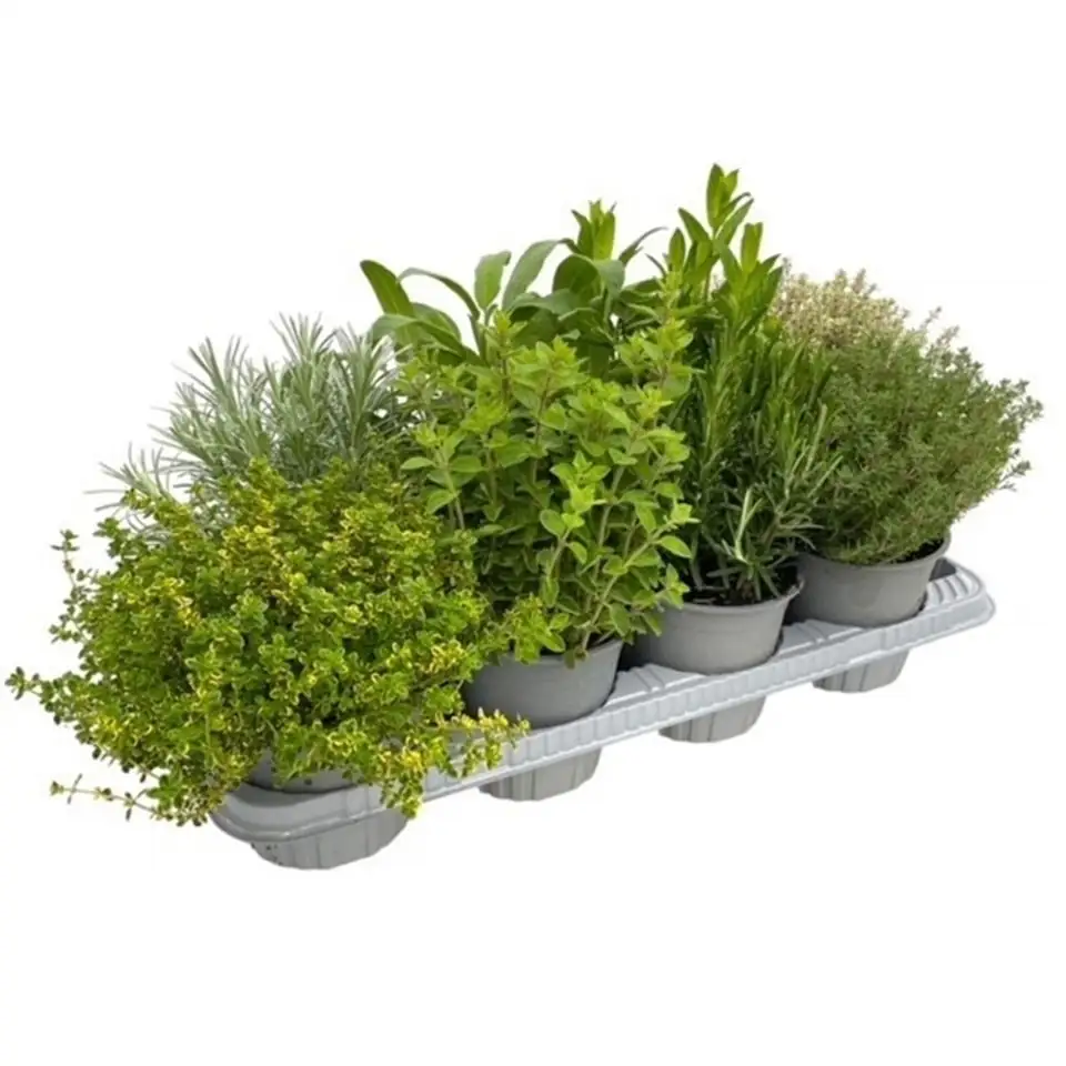 Микс билки D14 H25 - Herbs mix - Image 2