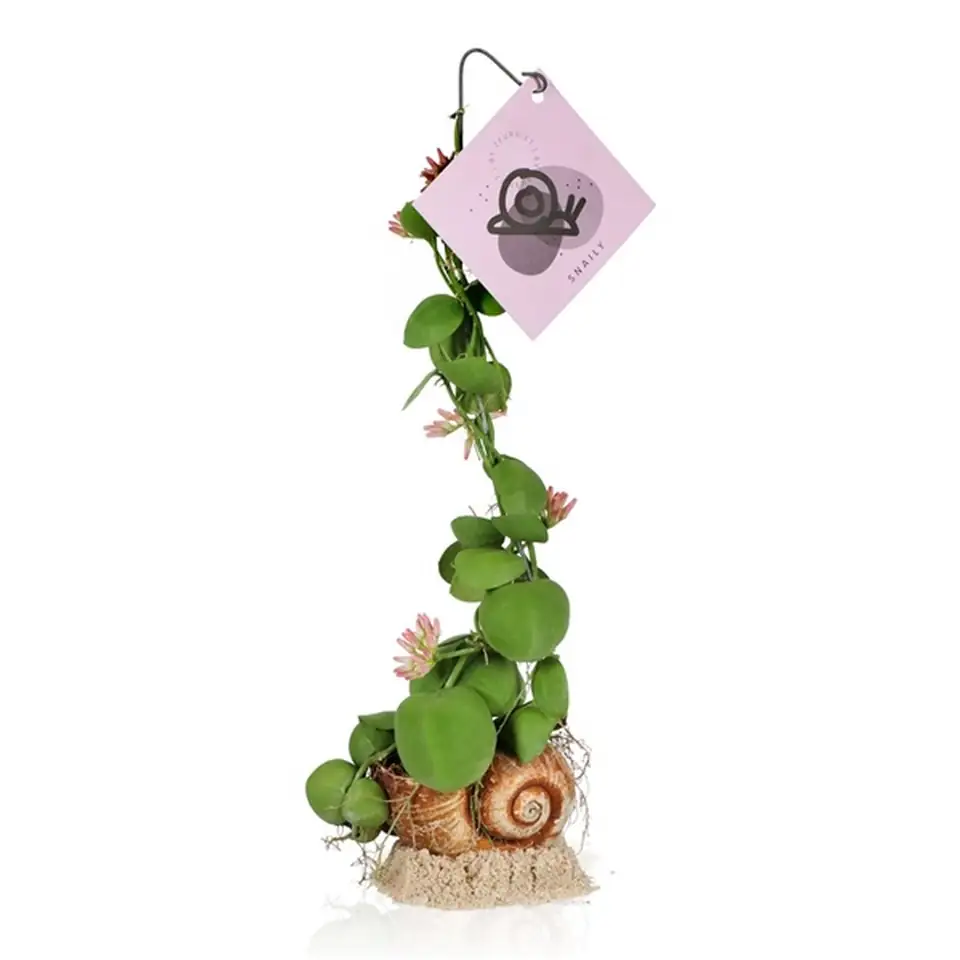 Дихидия в стъклен цилиндър D11 H38 - Dischidia arrangement - Image 2