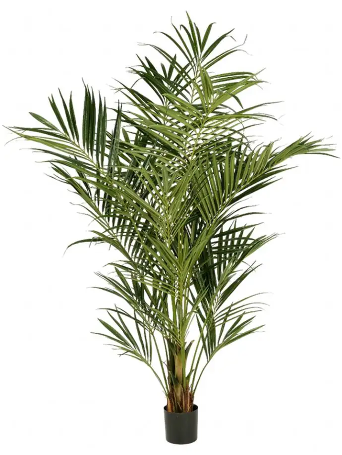 Палма H225см пласт. - Natural Kentia Palm De Luxe