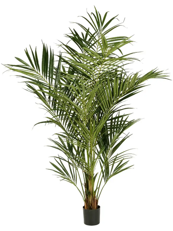 Палма H225см пласт. - Natural Kentia Palm De Luxe