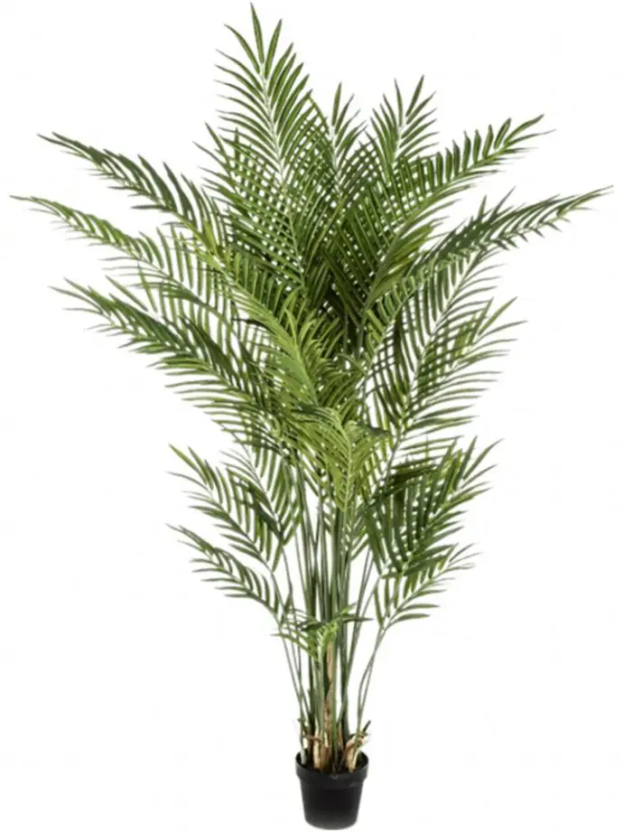 Арека палма H170см пласт. - Areca palm