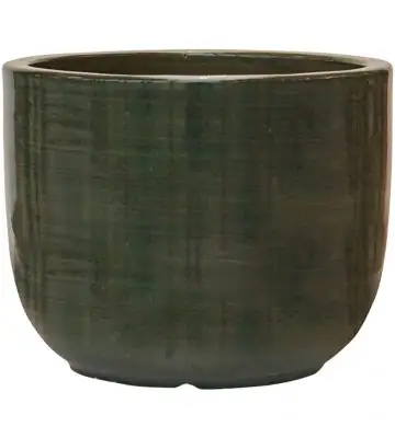Plain Striped D27 H21 - Couple olive