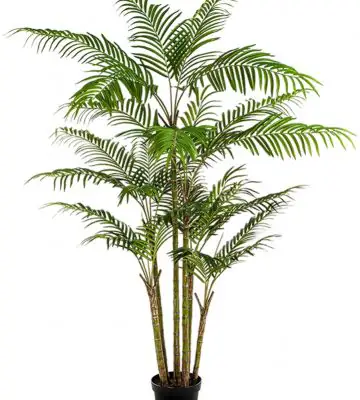 Бамбук H210см 816листа  пласт. - Bamboo Japanese