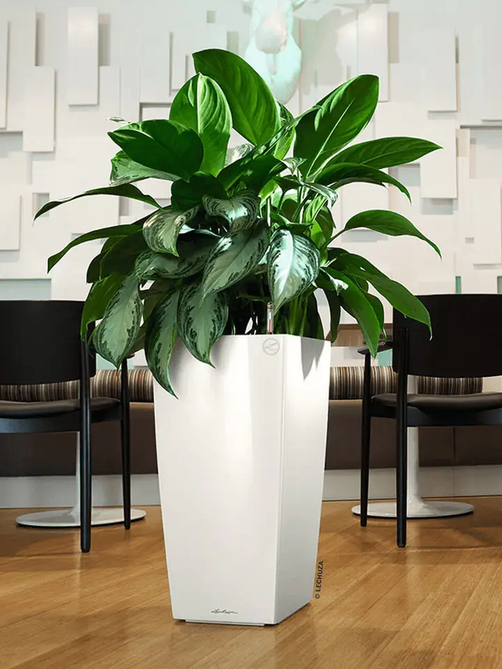 Cubico Premium 40x40 H75 - White set - Image 3