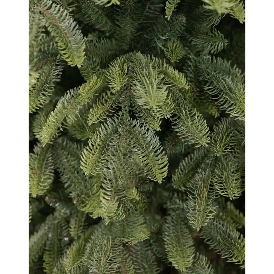 Коледна елха Royal Alpen Spruce Н180 PE/PVC - Image 3