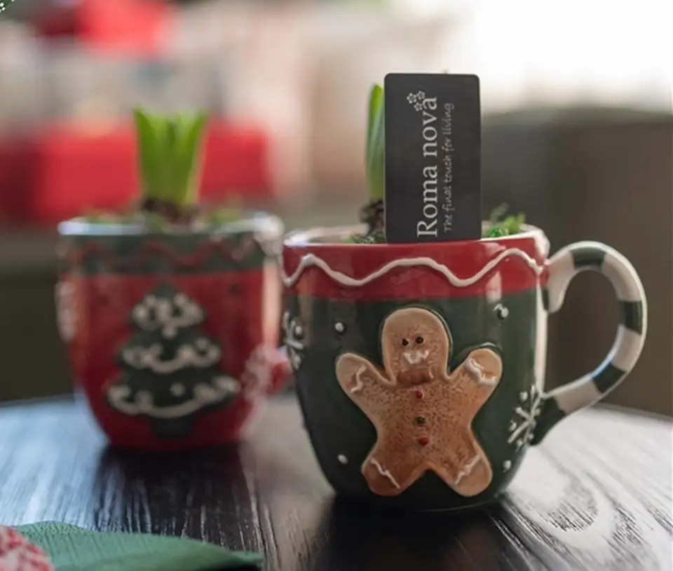 Зюмбюл в керамична чаша D14 H18 - Hyacinth arrangement - Image 2