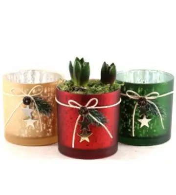 Зюмбюли в стъклена чаша D23 H24 - Hyacinth arrangement