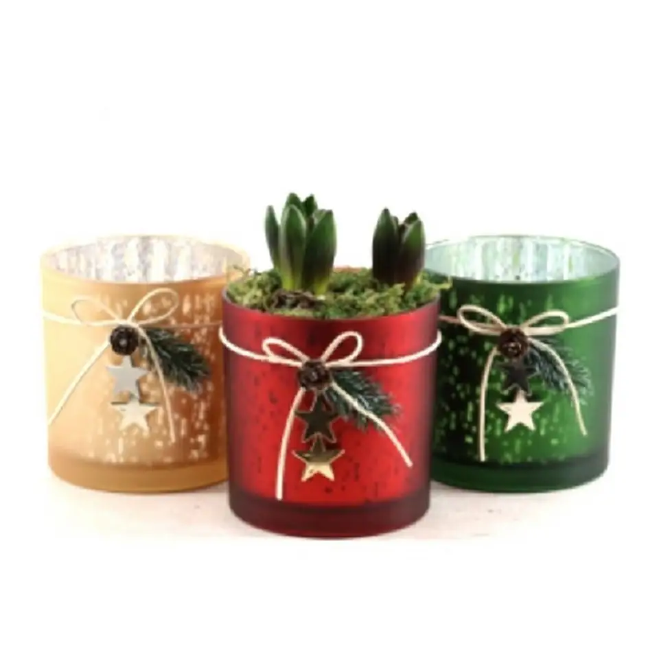 Зюмбюли в стъклена чаша D23 H24 - Hyacinth arrangement