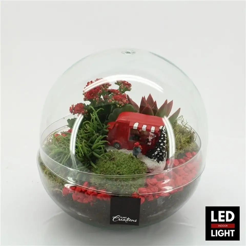 Коледна аранжировка D28 H28 - Arrangement in glass