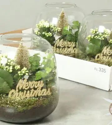 Растения в стъклен съд D19 H20 екосистема - Terrarium