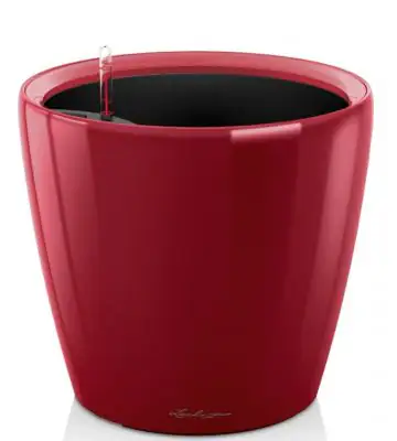 Classico Premium LS set 43 H40 - Red