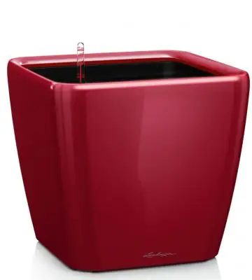 Quadro Premium LS set 21x21 H20 - Red