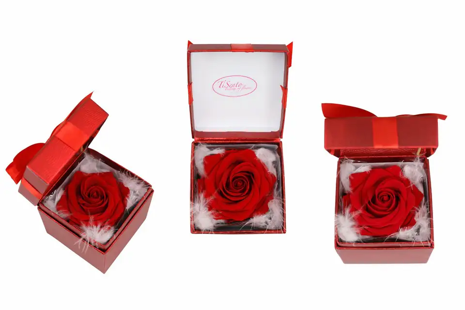 Роза консервирана в подаръчна кутия 11x11см