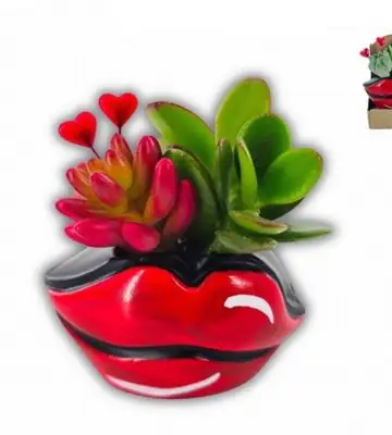 Аранжировка сукуленти D3.5 H7 - Succulents Happy Valentine