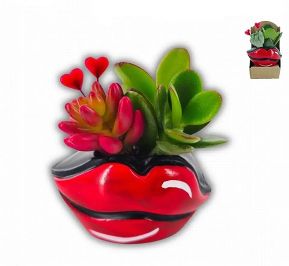 Аранжировка сукуленти D3.5 H7 - Succulents Happy Valentine