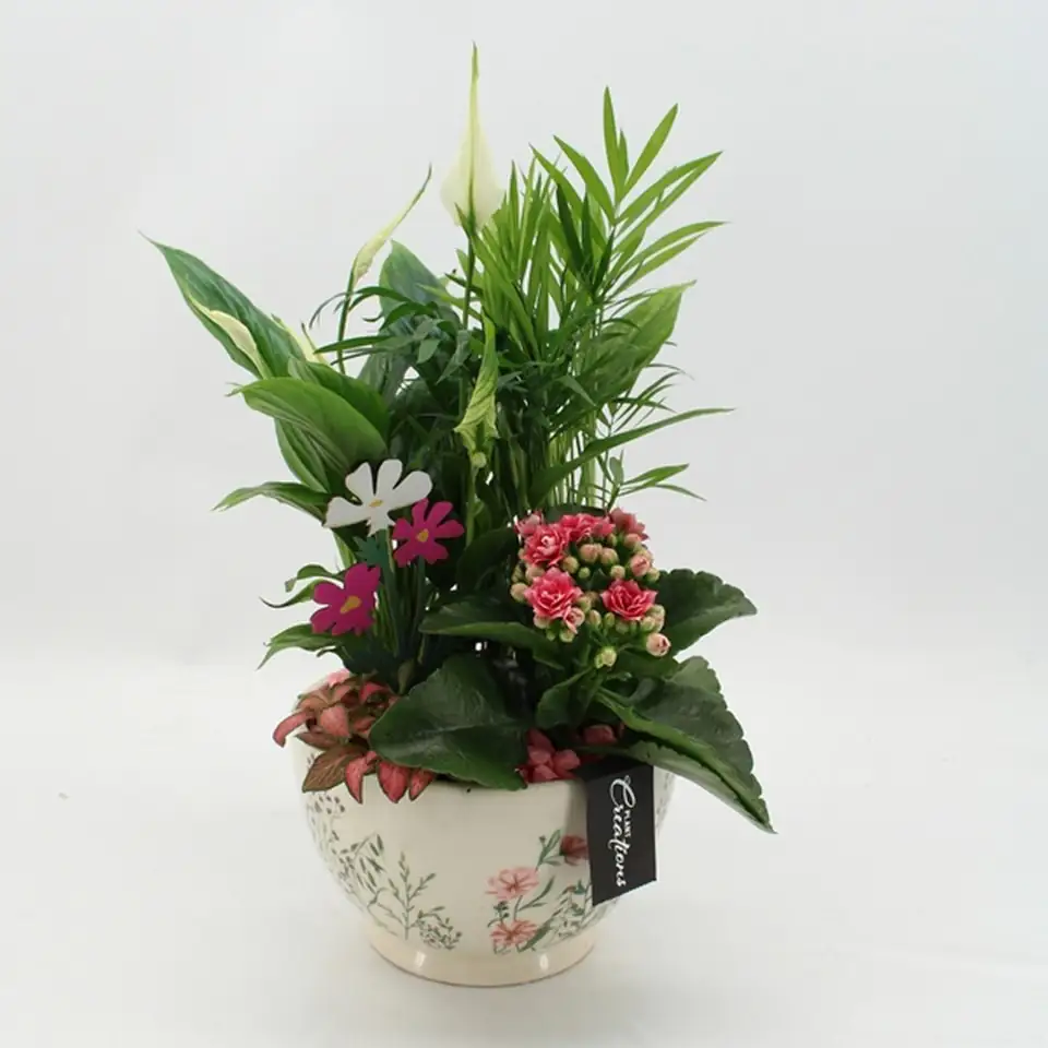 Аранжировка D17 H40 - Plant arrangement