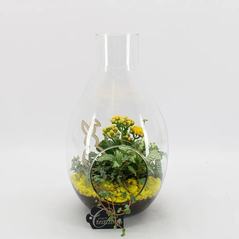 Растения в стъклен съд D17 H30 - Terrarium