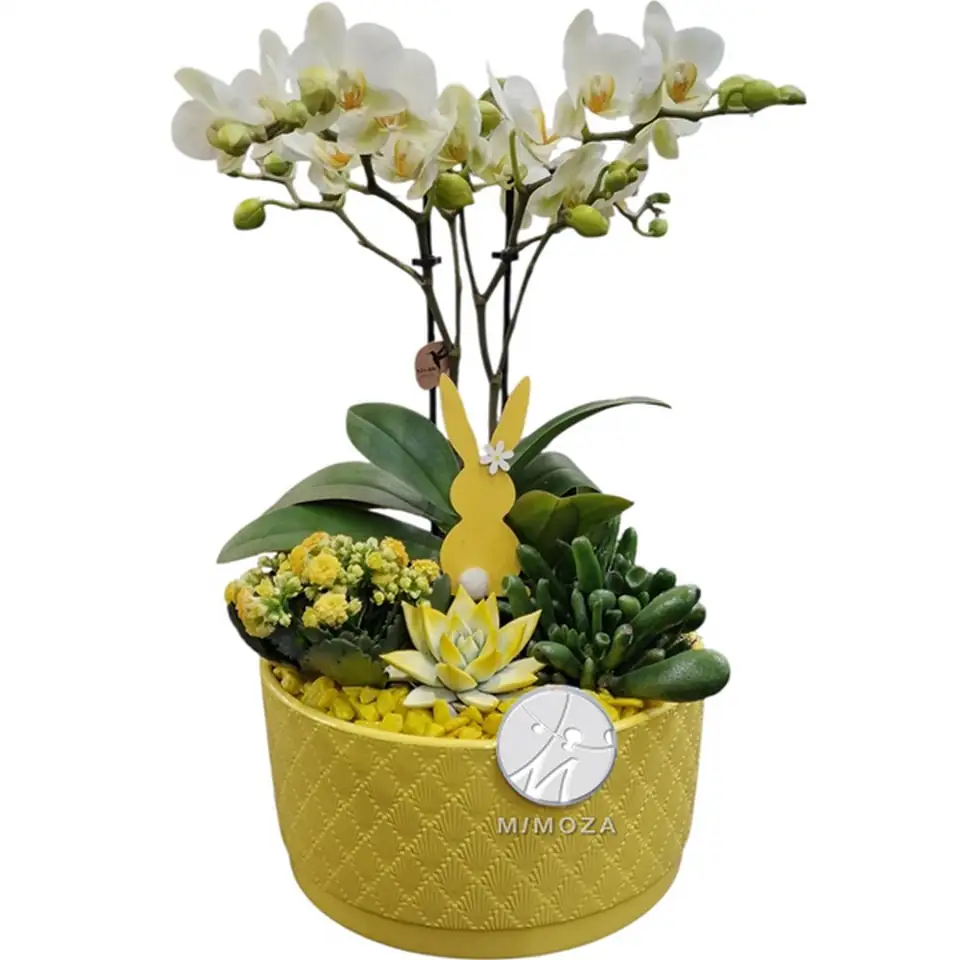 Аранжировка D25 H38 - Plant arrangement