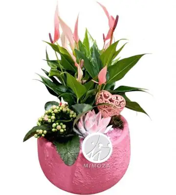 Аранжировка D21 H40 - Plant arrangement