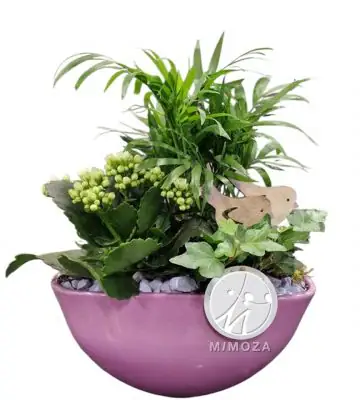 Аранжировка D22 H35 - Plant arrangement