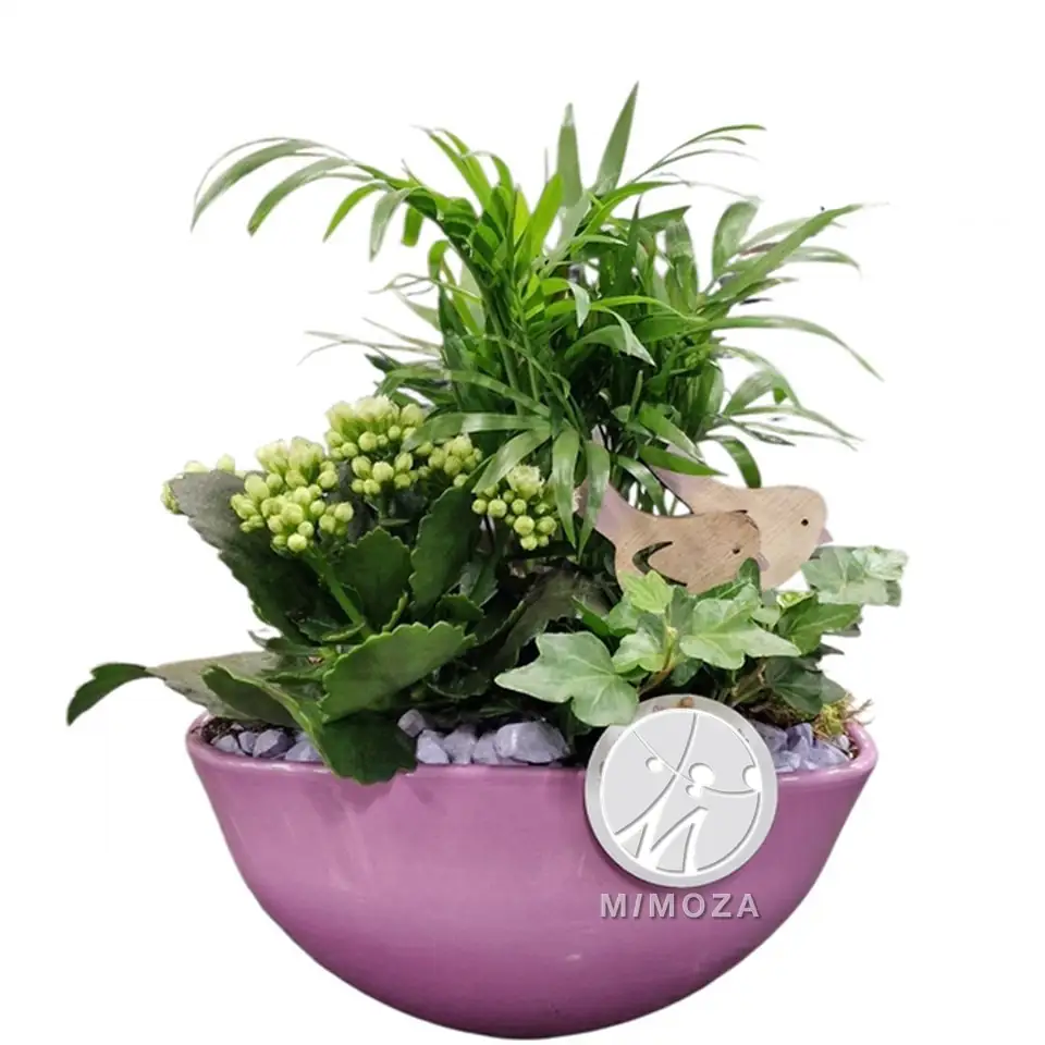 Аранжировка D22 H35 - Plant arrangement