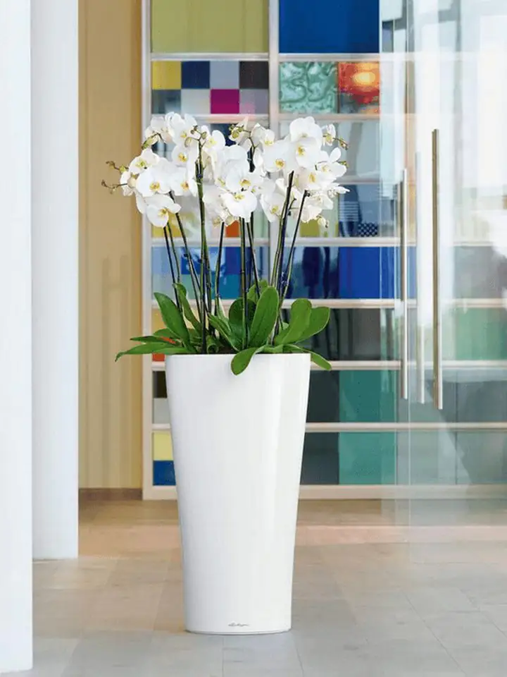 Delta Premium 30 H56 - White set 3 Delta Premium 30 H56 - White set - Image 3