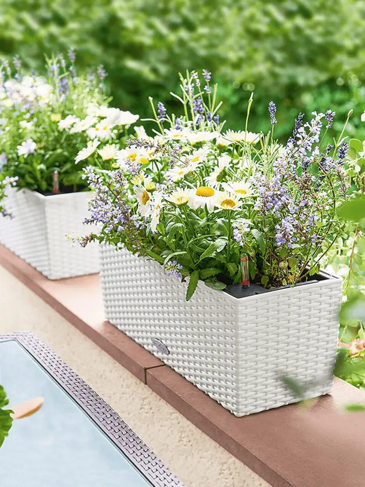 Balconera COTTAGE 50x19 H19 - бял 3 Balconera COTTAGE 50x19 H19 - бял - Image 3