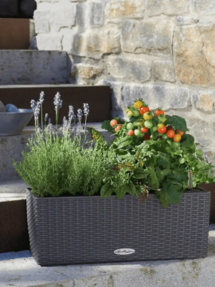 Balconera COTTAGE 50x19 H19 - графит - Image 3