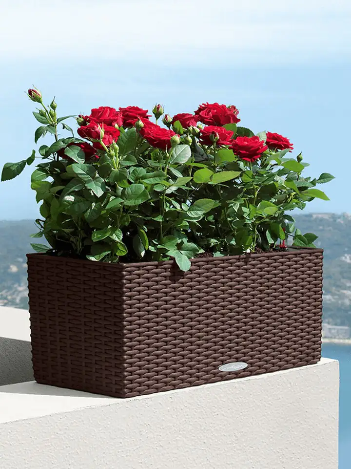 Balconera COTTAGE 50x19 H19 - кафяв - Image 3