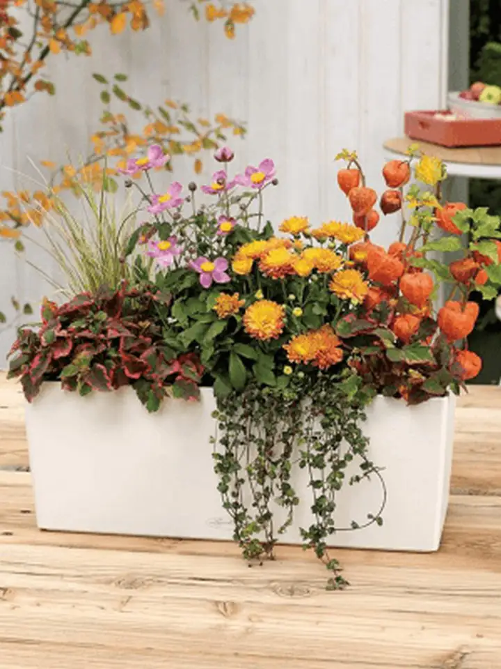 Balconera COLOR 50x19 H19 - бял 3 Balconera COLOR 50x19 H19 - бял - Image 3