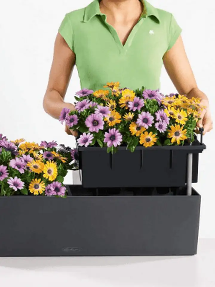 Balconera COLOR 80x19 H19 - графит - Image 3