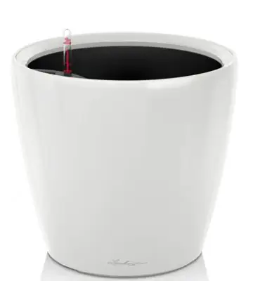 Classico Premium LS set 43 H40 - White