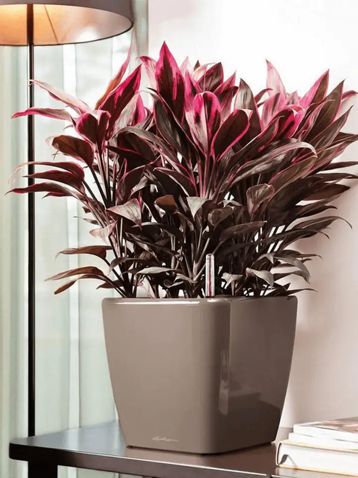 Quadro Premium LS set 28x28 H26 - Taupe 3 Quadro Premium LS set 28x28 H26 - Taupe - Image 3