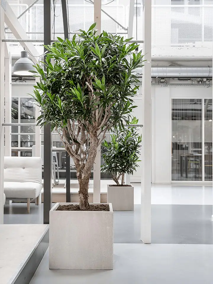 Raindrop Cube 30x30 Н27см - Beige - Image 2