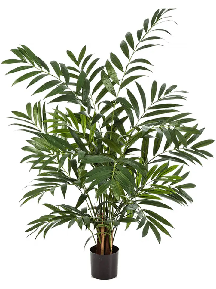 Палма H110см плaст. - Parlour bush 1 Палма H110см плaст. - Parlour bush