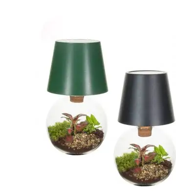 Растения в стъклен съд D12.5 екосистема - Terrarium LED