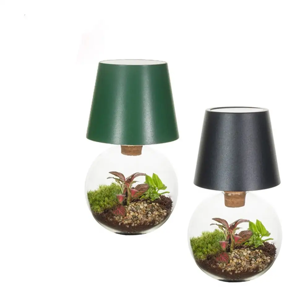 Растения в стъклен съд D12.5 екосистема - Terrarium LED 1 Растения в стъклен съд D12.5 екосистема - Terrarium LED