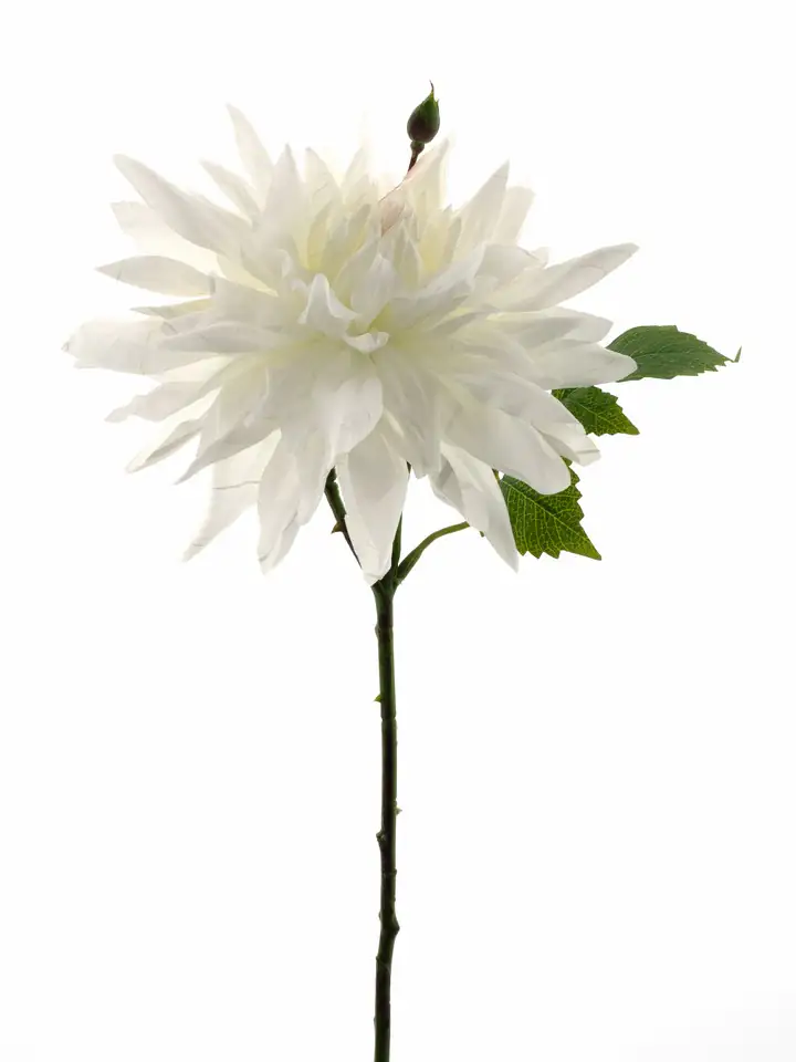 Далиа 40см пласт. - Dahlia spray Sara cream