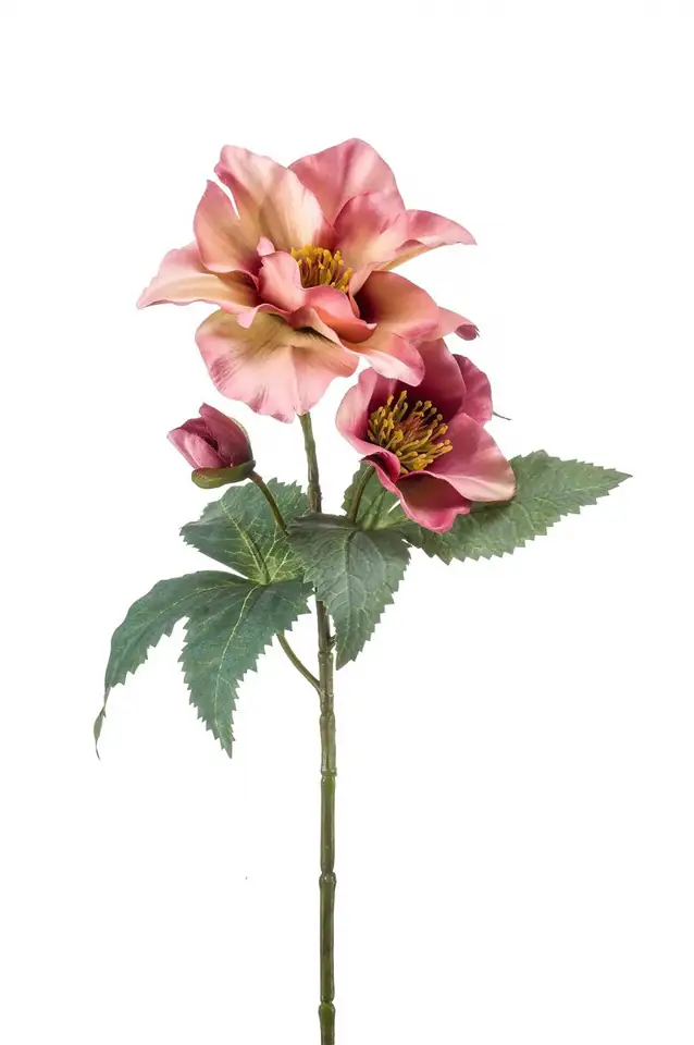 Хелеборус 56см пласт. - Helleborus iced Reims white