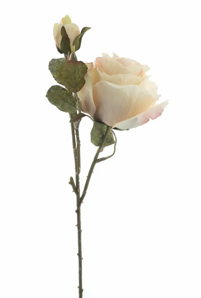 Роза 49см пласт. - English rose spray Monica