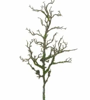 Клонка с мъх 100см пласт. - Moss twig spray Aast
