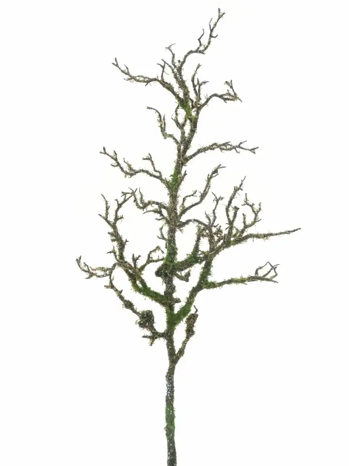 Клонка с мъх 100см пласт. - Moss twig spray Aast