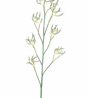 Клонка шушулки боб 120см пласт. - Bean pod spray Bavans green
