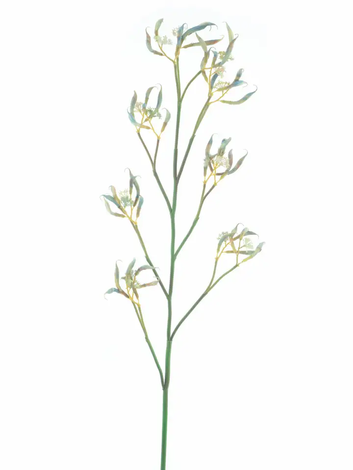 Клонка шушулки боб 120см пласт. - Bean pod spray Bavans green