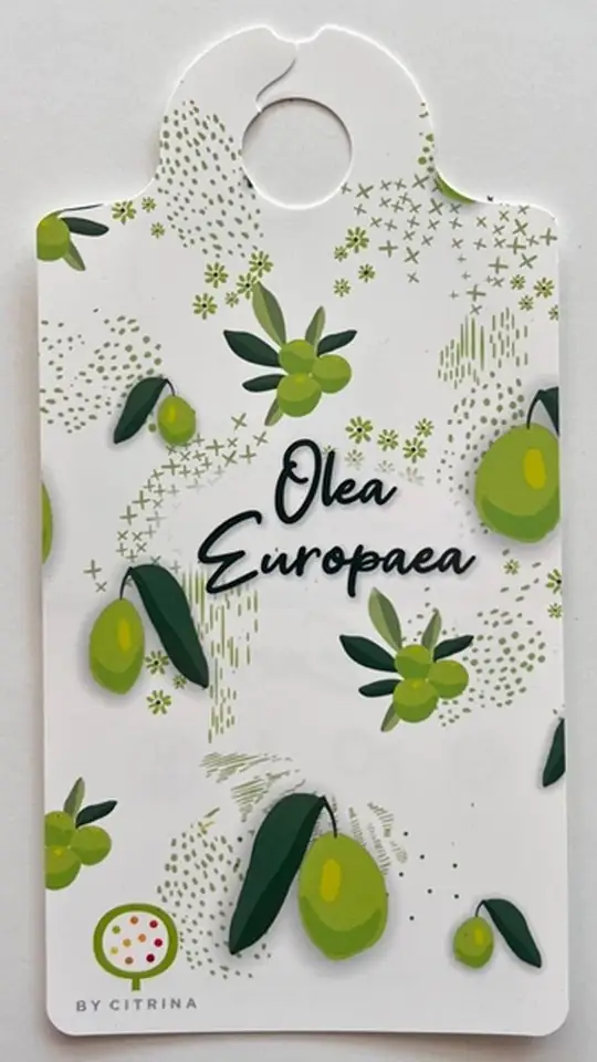 Маслиново дърво D16 H60 - Olea Europaea - Image 2