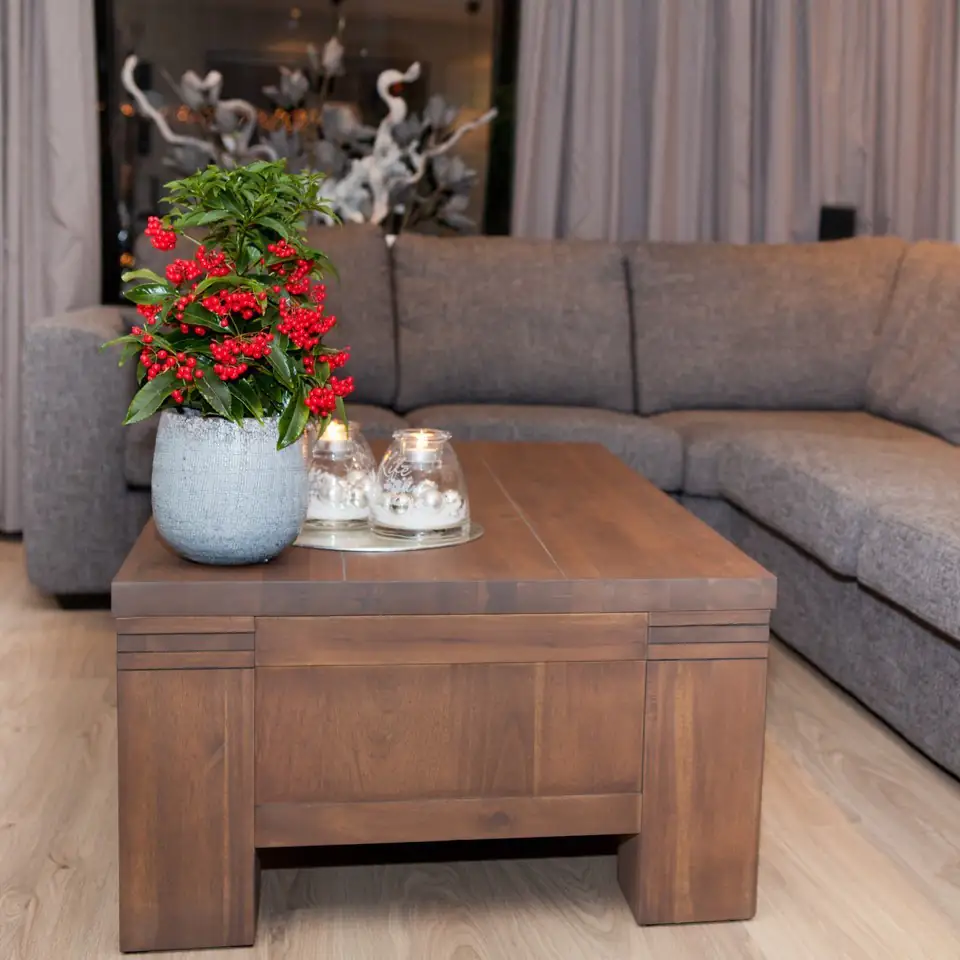 Ардизия D14 H40 - Ardisia Crenata Bos Premium - Image 3